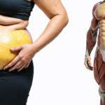 découvrez la vérité sur le mythe de la transformation de la graisse en muscle et comprenez comment fonctionnent réellement la perte de graisse et le développement musculaire.